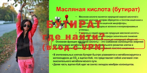 эйфоретик Гусь-Хрустальный