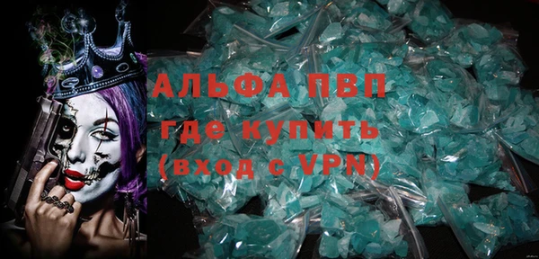 эйфоретик Гусь-Хрустальный