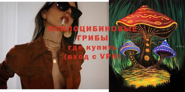 прущая мука Гусиноозёрск