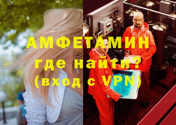 эйфоретик Гусь-Хрустальный
