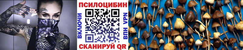 Галлюциногенные грибы Magic Shrooms  где продают наркотики  Волоколамск 